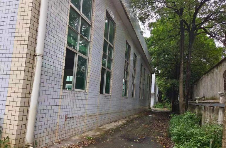 靓马安新出独院厂房4500平米招租