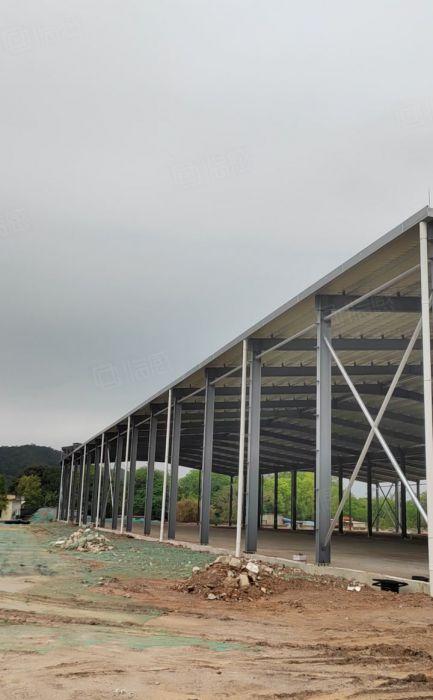 惠城区  在建单一层钢结构厂房11000平米，滴水9米~~