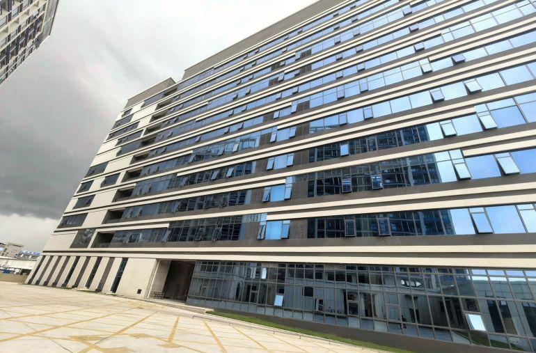 三栋数码园单层大面积标准厂房，大小可分租