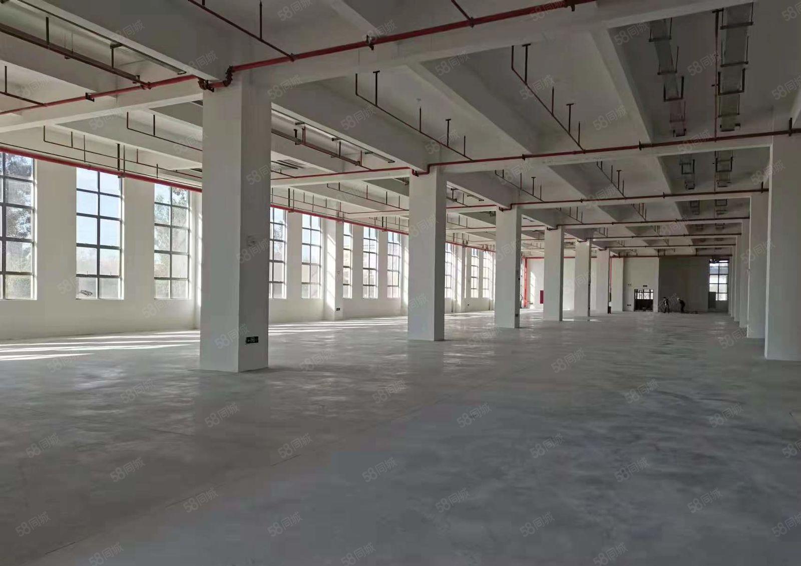 水口东江湾千亿产业园3万平米，面积1000平起租