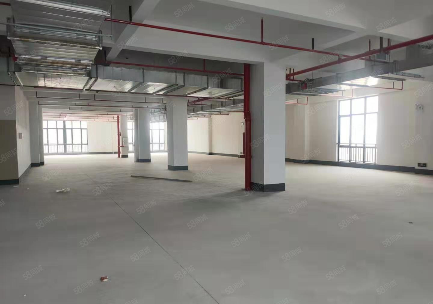 平潭园区标准红本厂房2200平，12元出租