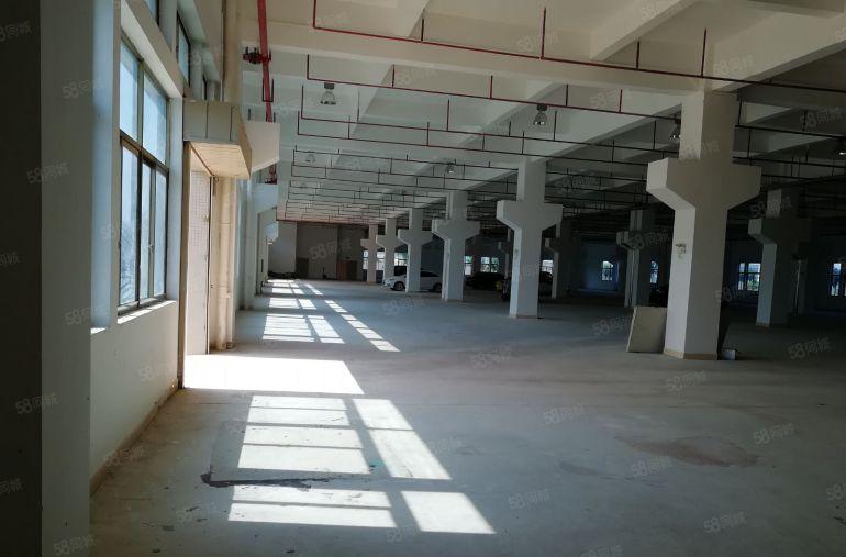 惠城区水口附近重工业厂房14600平方出租