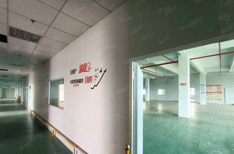 水口湖滨~~~~1720平全装修~~电商仓库，电子厂服装厂~