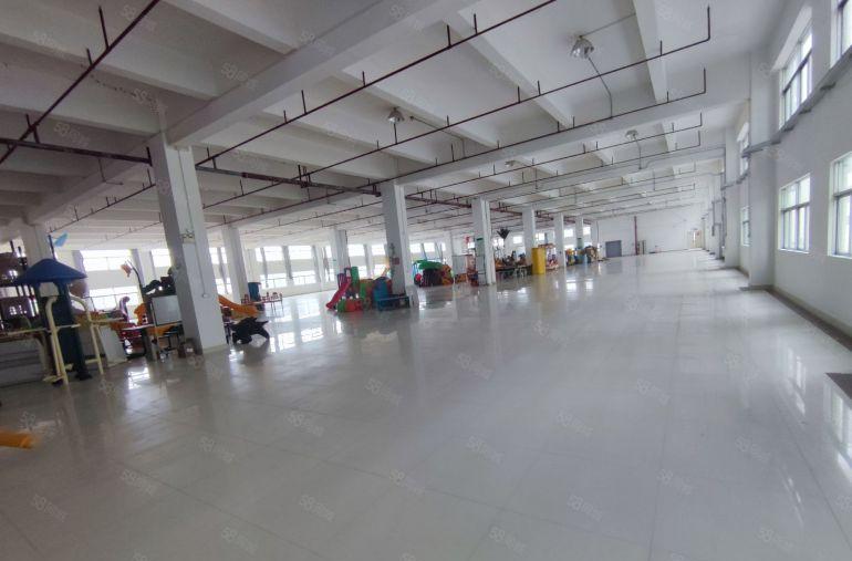 惠城区马安原房东独栋厂房出租1000平起分租一楼7米高