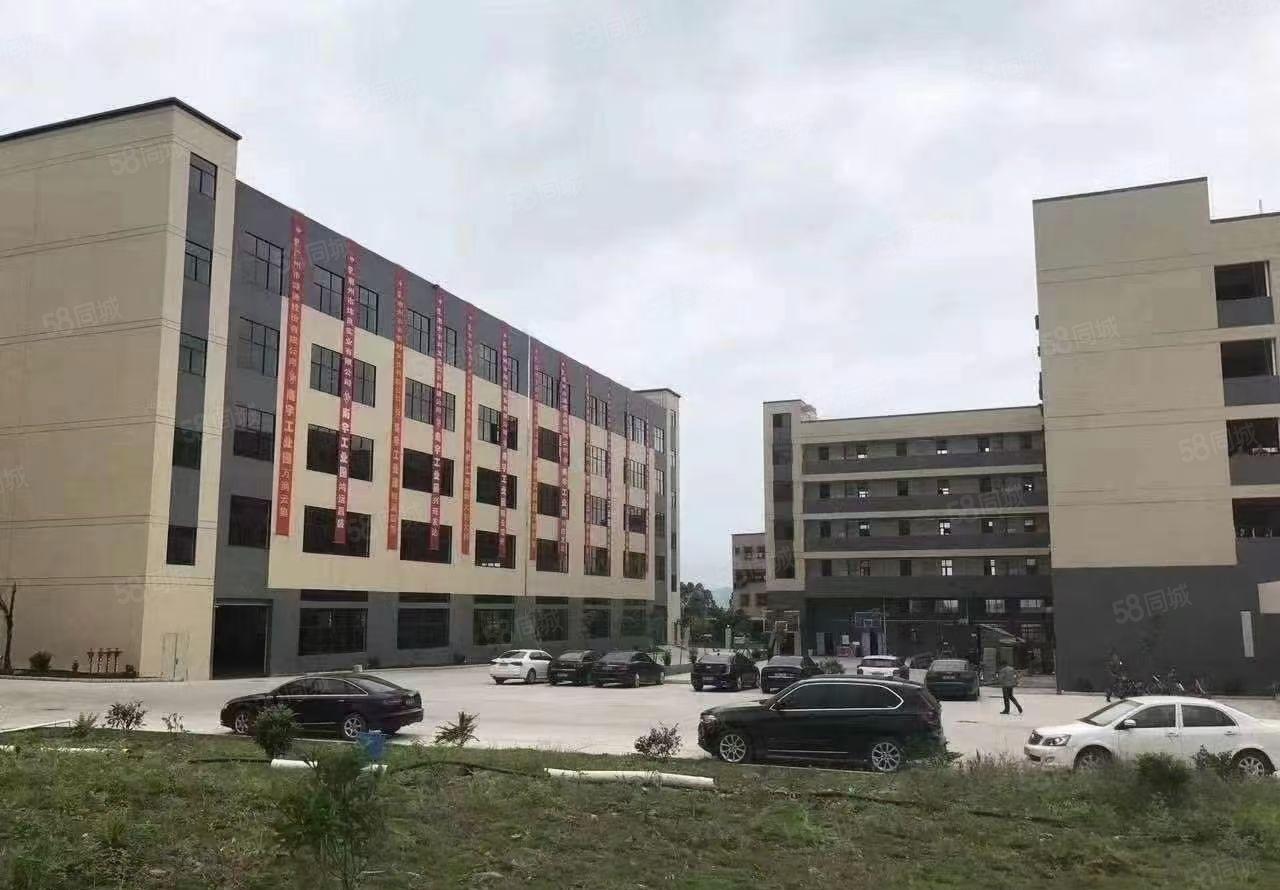 水口红本工业园区空出2400平 带现成装修 一楼层高5.5米