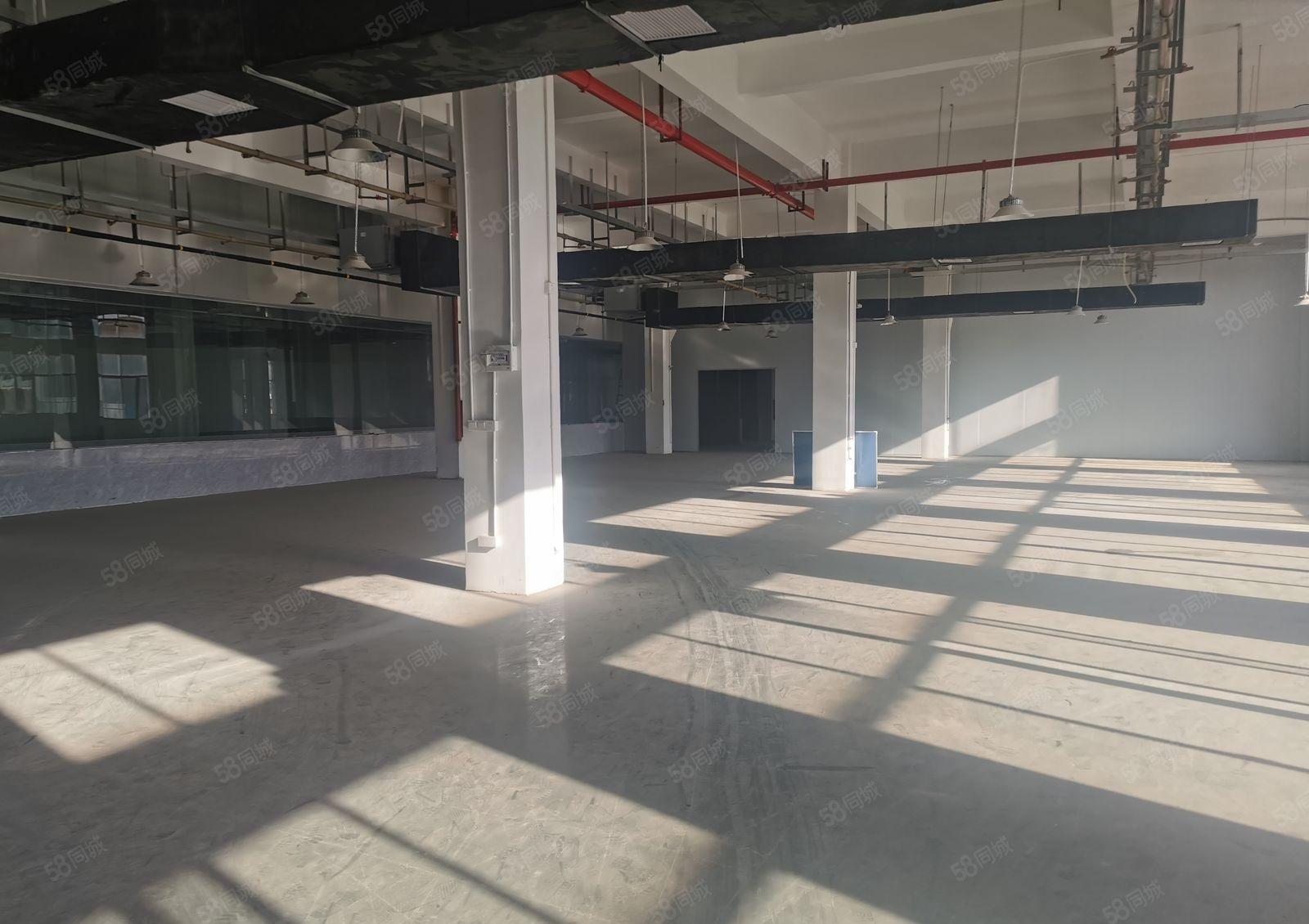 惠州三栋数码园新出原房东独院38000平方厂房也可分租