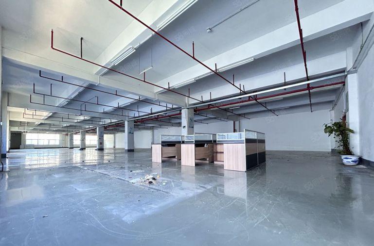 惠城小金口新出原房东工业区楼上500平方米精装修仓库厂房出租