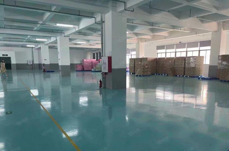 7元全新厂房出租你没看错