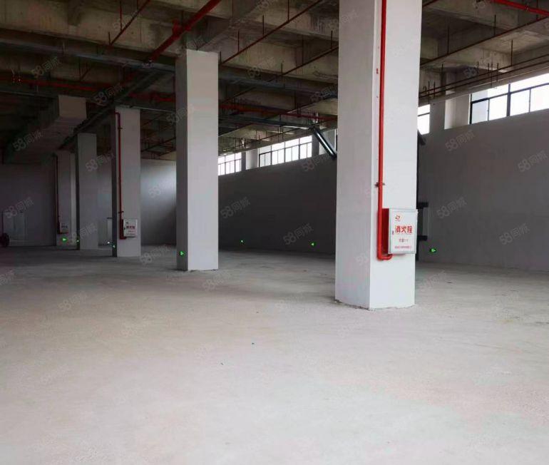 马安一楼标准厂房，2030平米，高7.2米