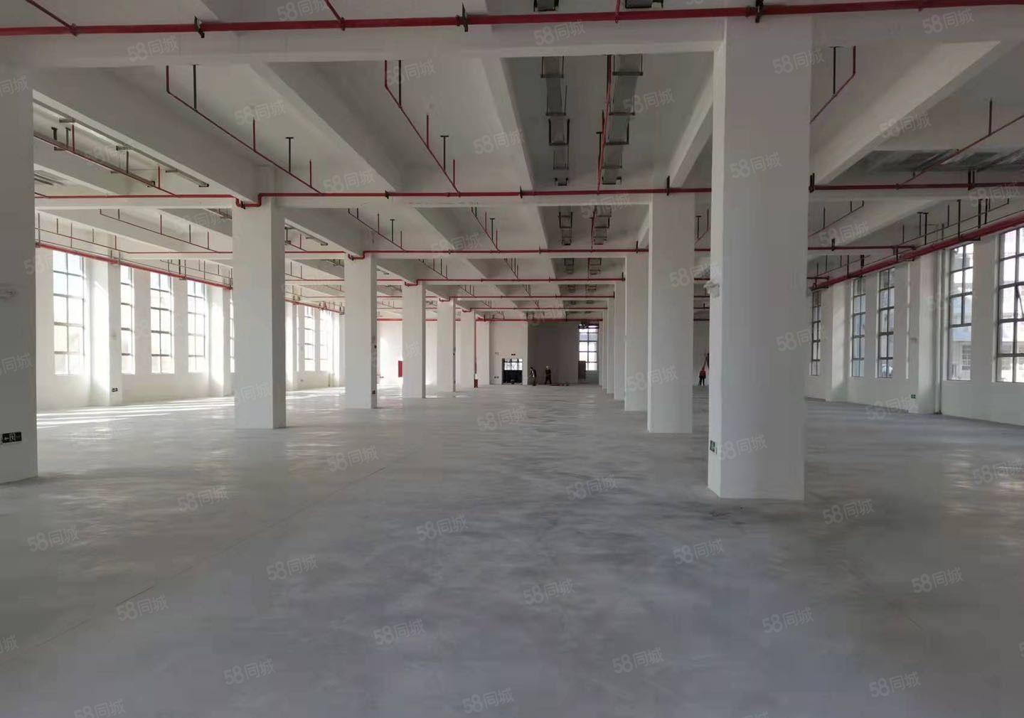 惠州市惠城区水口红本厂房35万平高端制造业主题园区