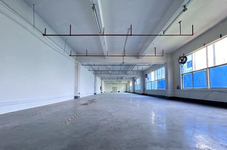 惠城小金口新出原房东工业区楼上500平方米精装修仓库厂房出租