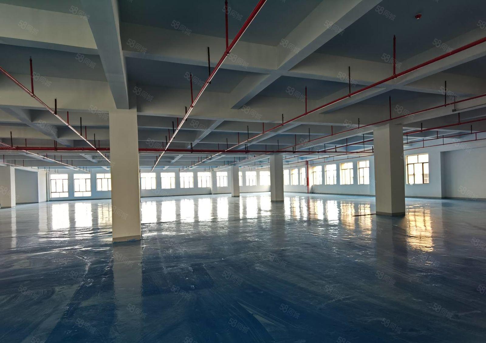 马安平潭怡发工业区全新厂房四楼1500平米 9.5元出租