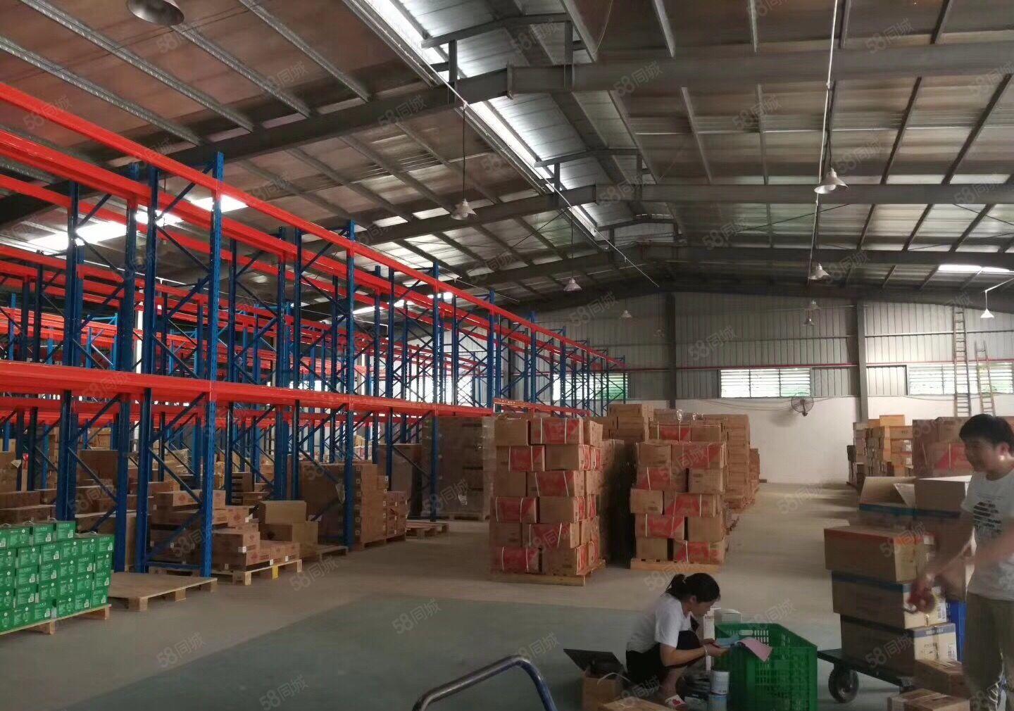 水口中心区 独门独院 钢结构 3500平米出租