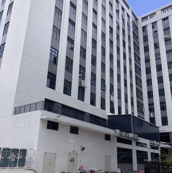 马安新乐 原房东红本全新标准厂房1000平起租 租金13