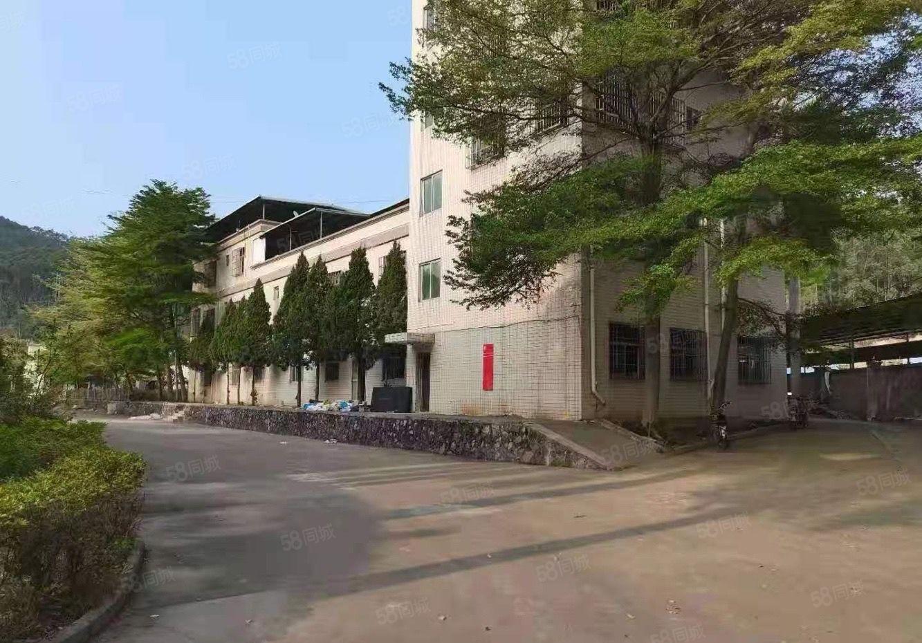 惠城区罗阳高速路口新独院厂房15000平方招租