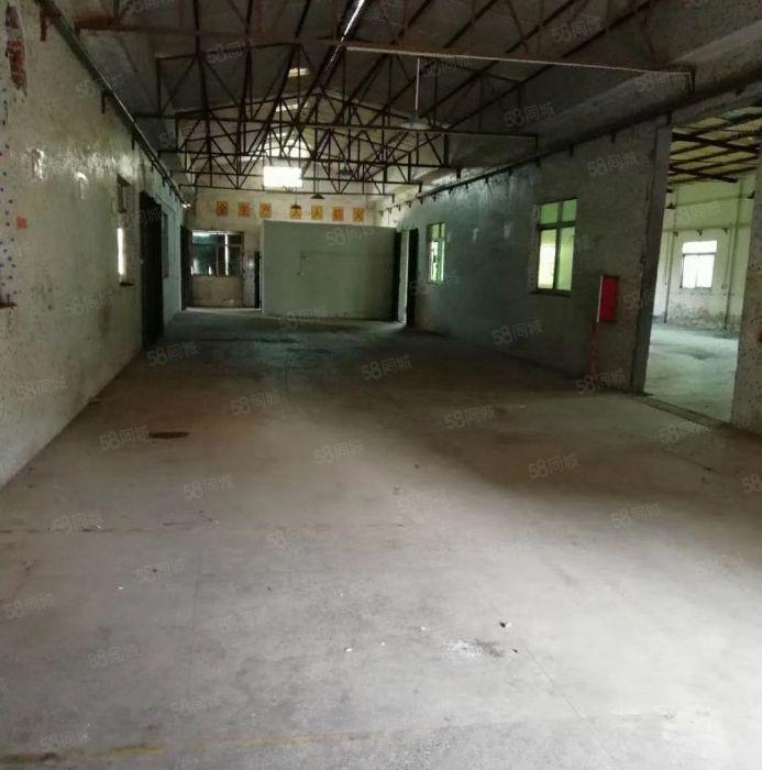 惠城区江北原房东700平方滴水6米钢构厂房