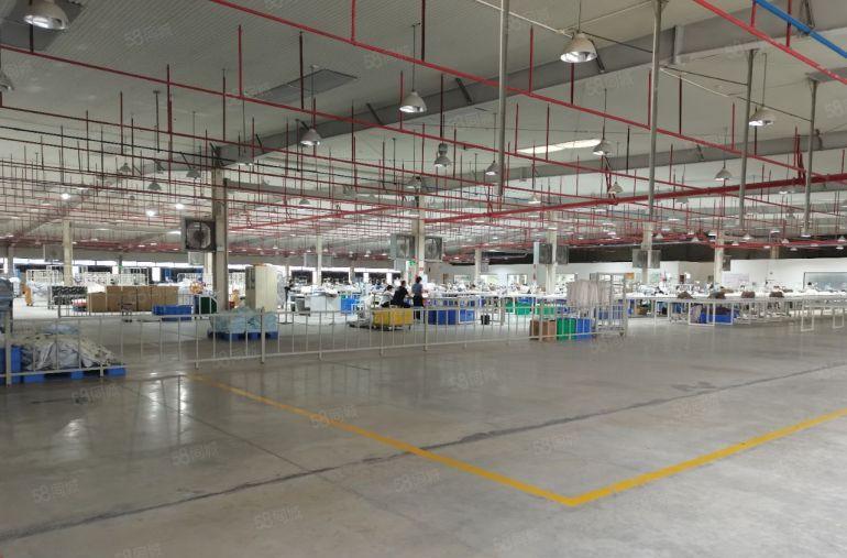 500平方起租水口工业园区标准钢构厂房租金实惠