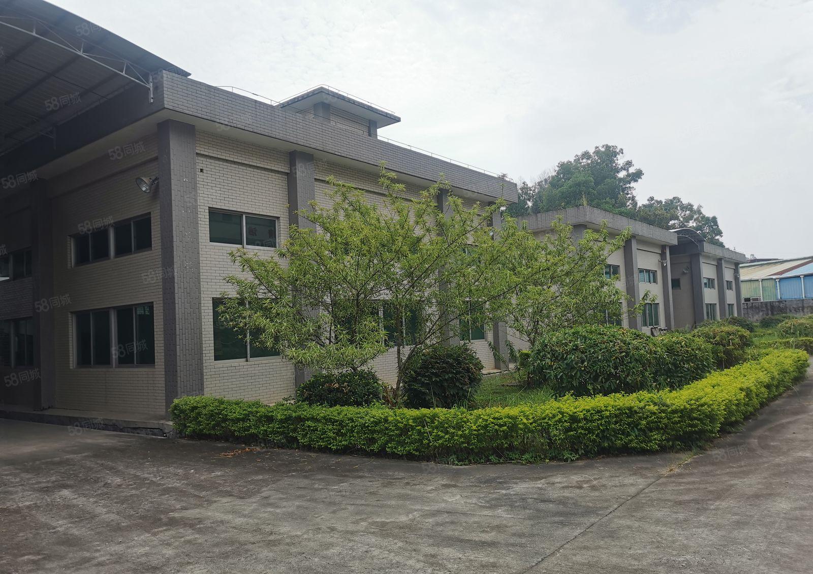 独院厂房出租4800平，300平方起租，五金注塑加工中心位置