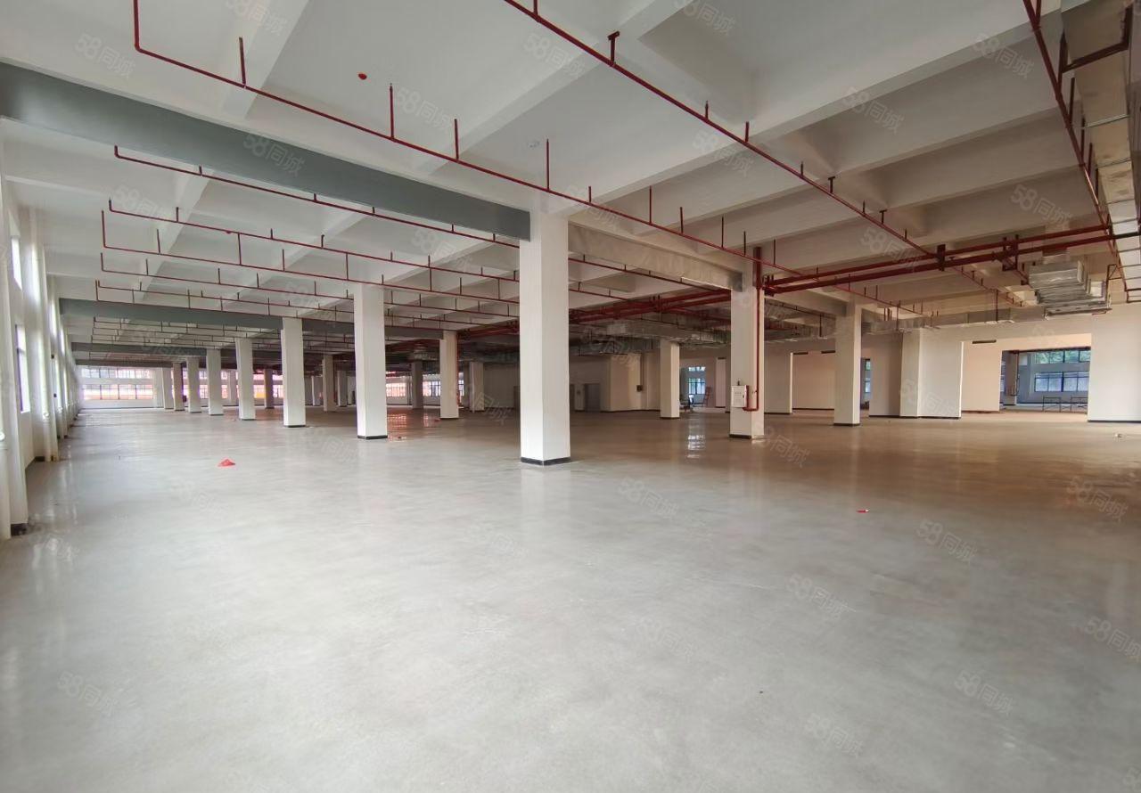 马安平潭镇全新独院约33300平厂房招租可分租