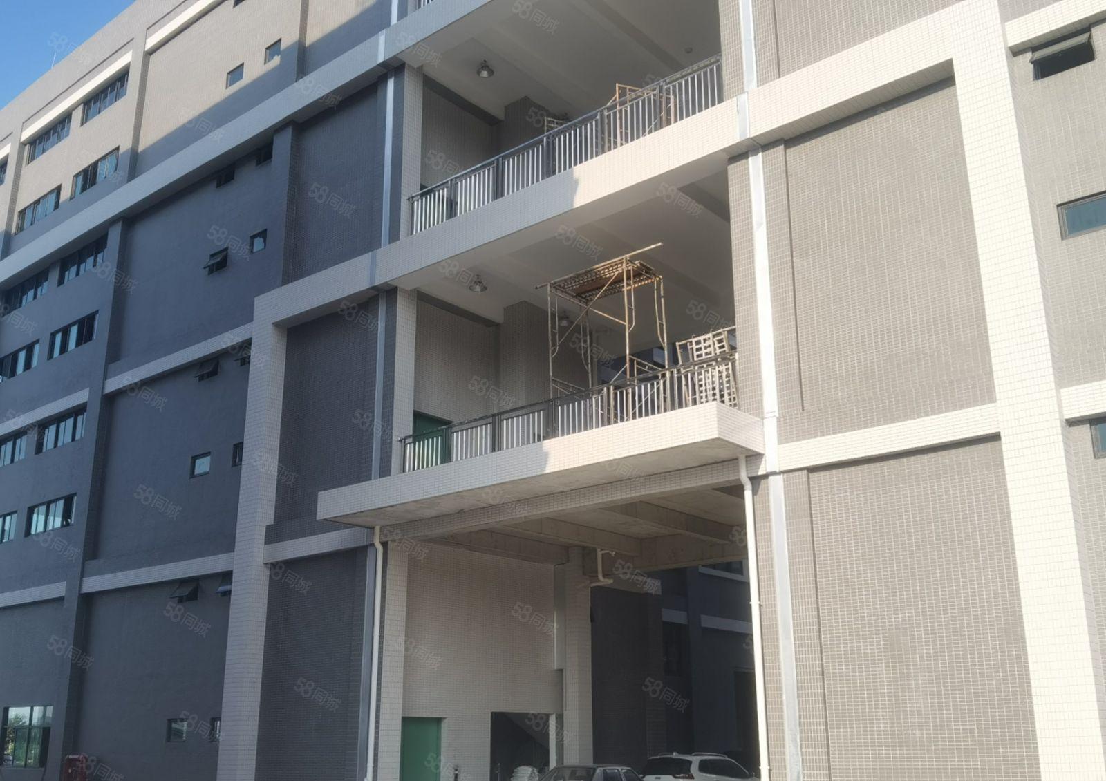 惠城区原房东独院厂房12000平方出租，面积无公摊14