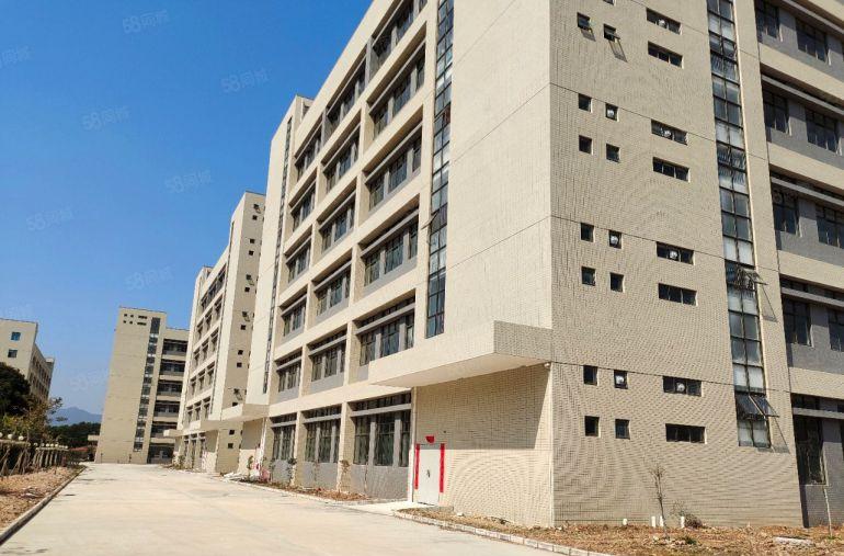 惠城小金口1000平独门独院厂房出租分租精装修可办公可生产