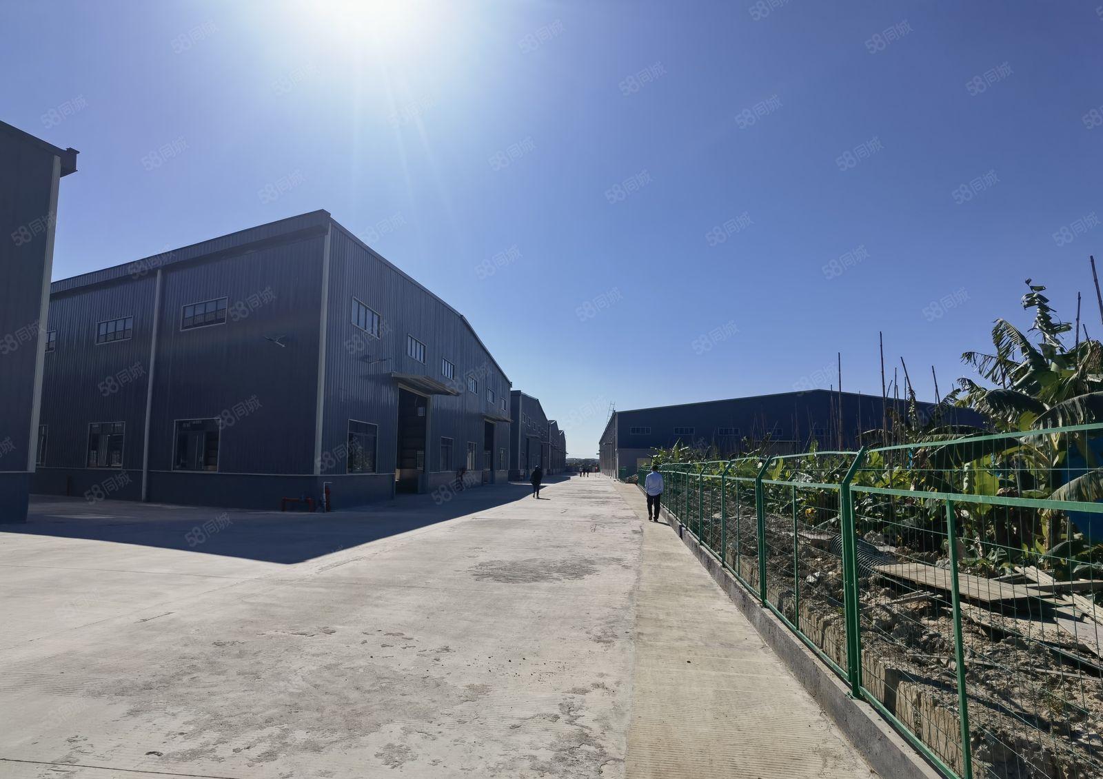 惠城区小金口全新单一层钢构3万平方厂房出租大小可分租带牛角