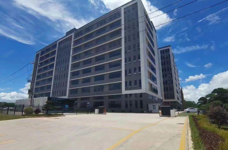 惠城区水口龙湖大道边 全新重工业园区厂房出租