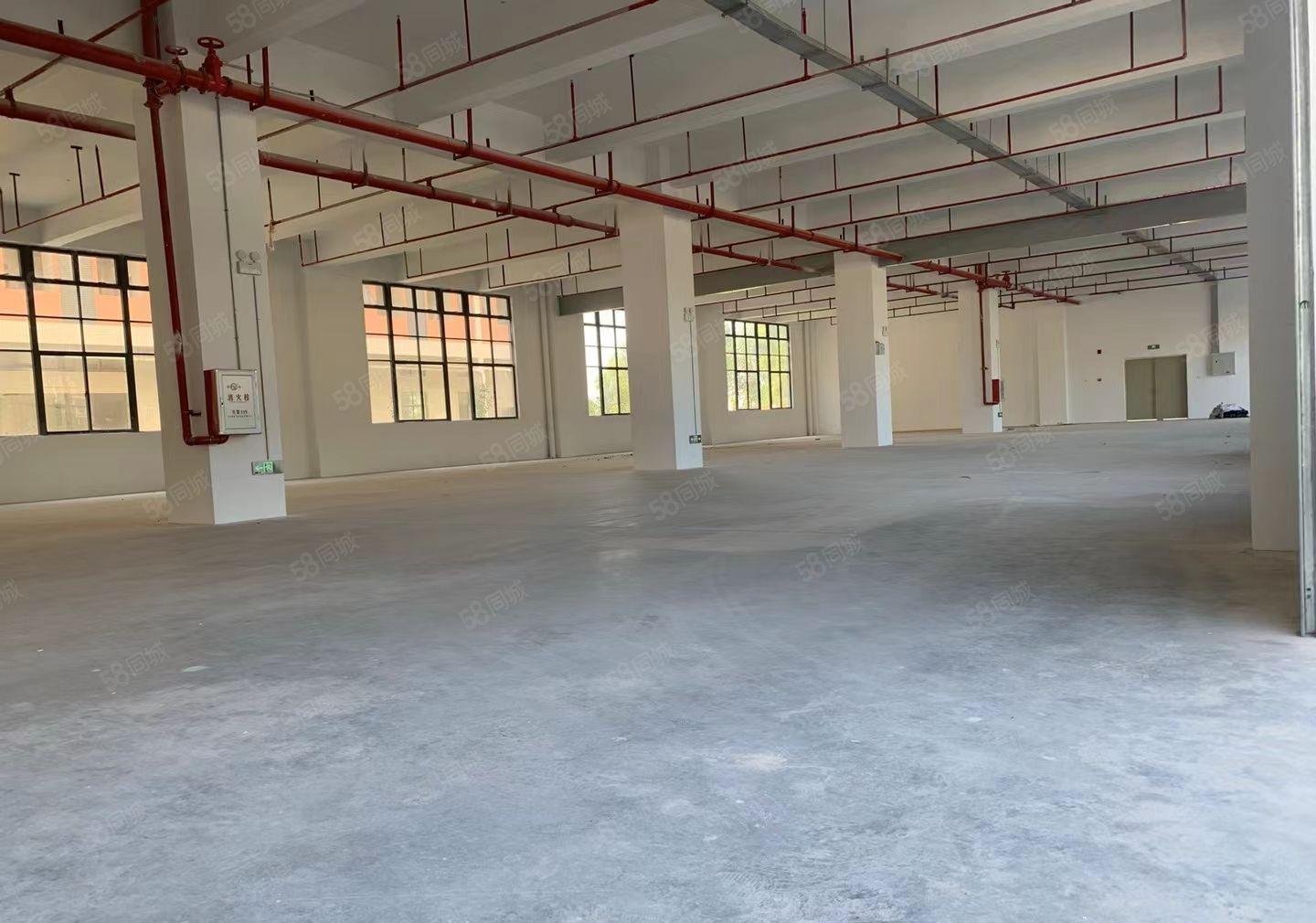惠城区水口10元厂房出租，厂房形象超好