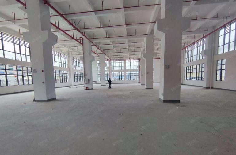 马安标准厂房一楼出租1800平层高7米水磨石地面可以分租一半