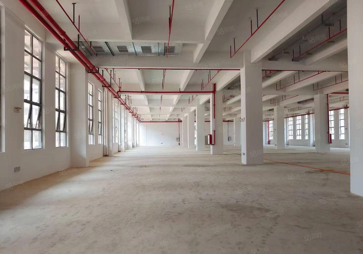 三栋1600平一楼，证件齐全，配电按需，好招工