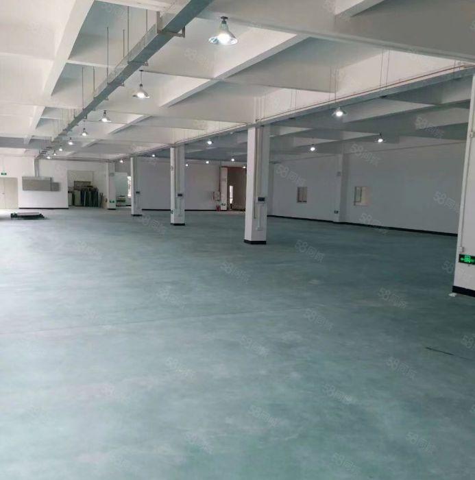 出租马安新乐一楼620平，高度5米，可做仓库或加工