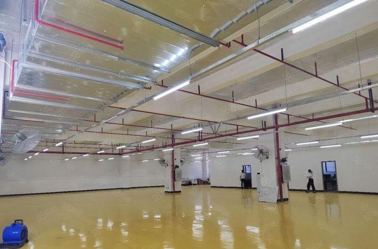 三栋数码园1200平带装修整层全新红本厂房仓库出租大小可分租