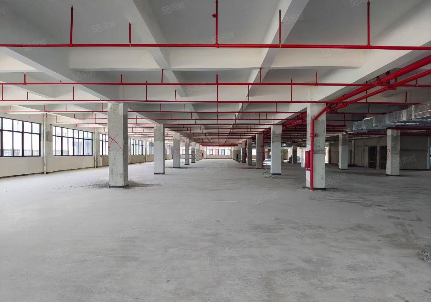 惠州全新红本独院厂房36400平 面积大小可分租 无行业限制