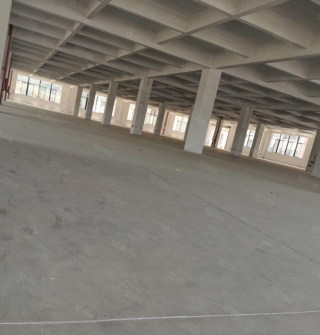 惠博大道附近原房东厂房一楼2650平方厂房出租