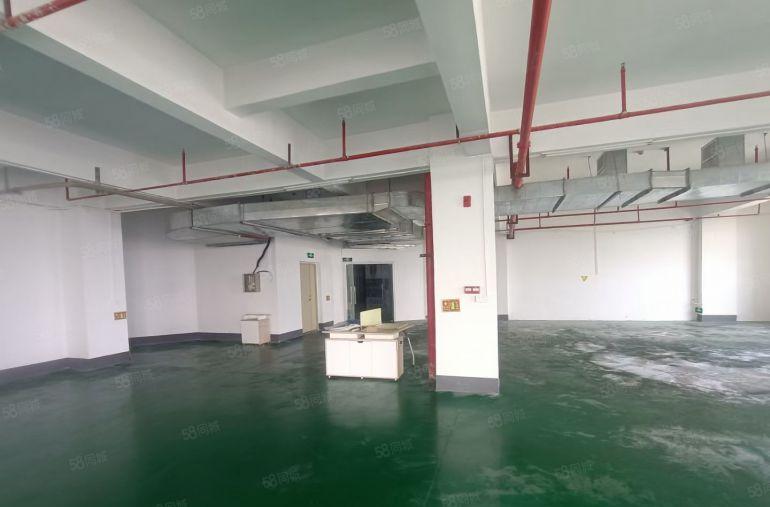 马安工业园430平,530平现成装修水电厂房仓库出租