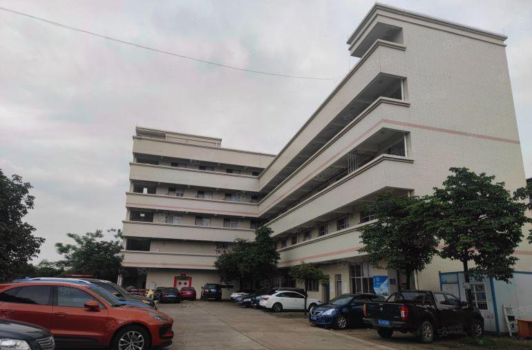 马安钢构厂房出租1500平滴水8米中间无柱子证件齐全可进拖头