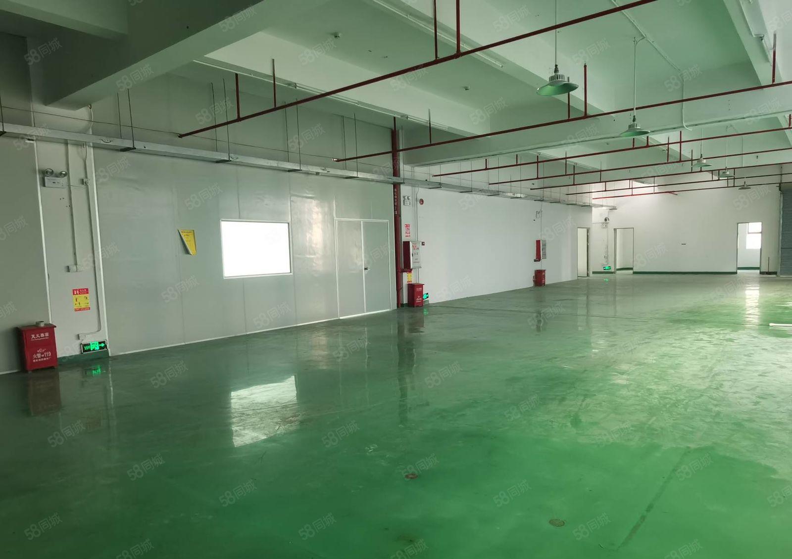 马安新乐1450平厂房，好招工，证件齐全，租金实惠