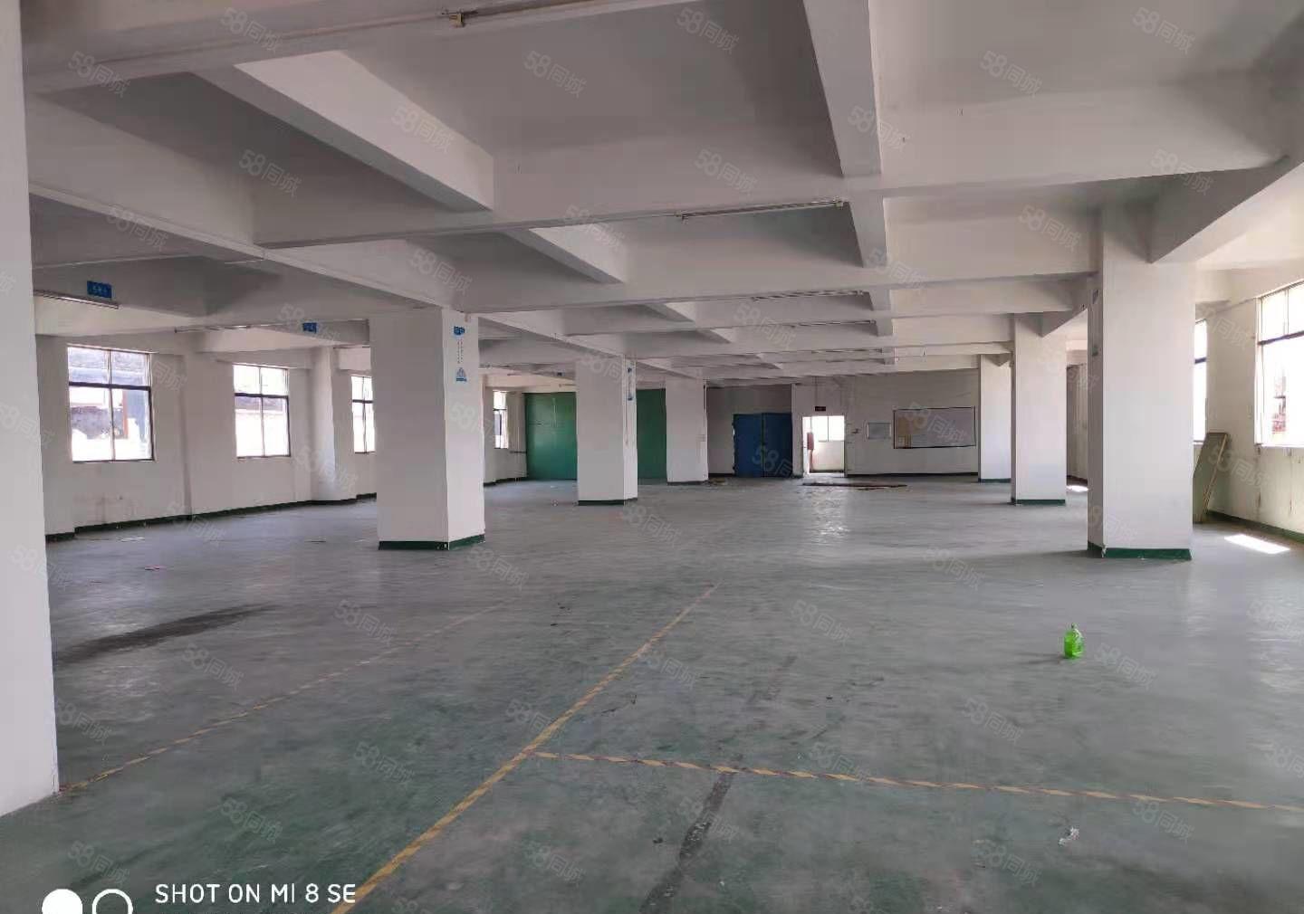 小金口房东直租柏岗张岗西路30号独院招租