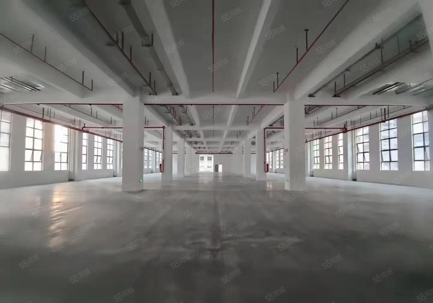 合水口新出约11万高端制造产业园招租