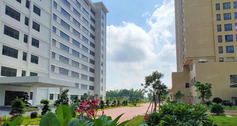 水口东江工业区8元平方全新厂房可分租