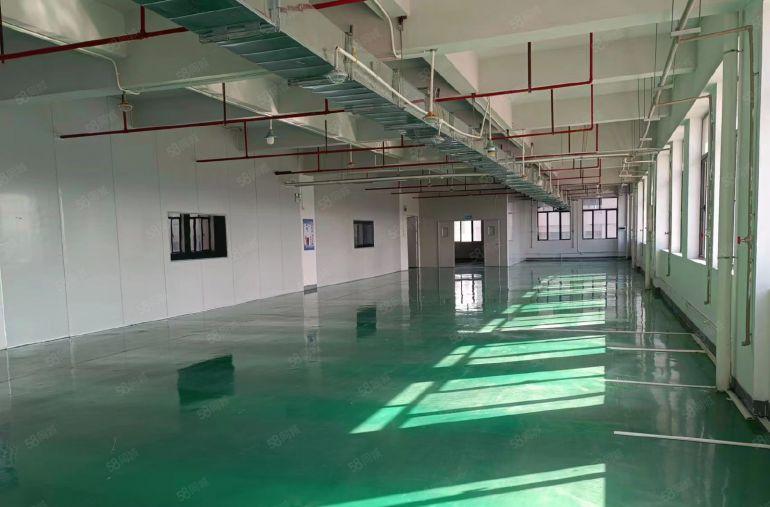 精装修厂房1820平方无转让费特价8元一平出租