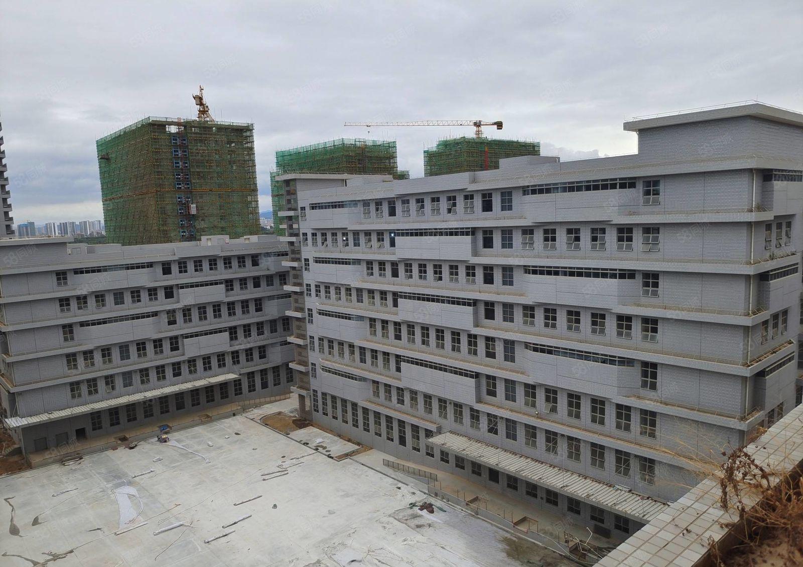 水口千亿产业园原房东全新1500到1万平方高端制造产业园出租