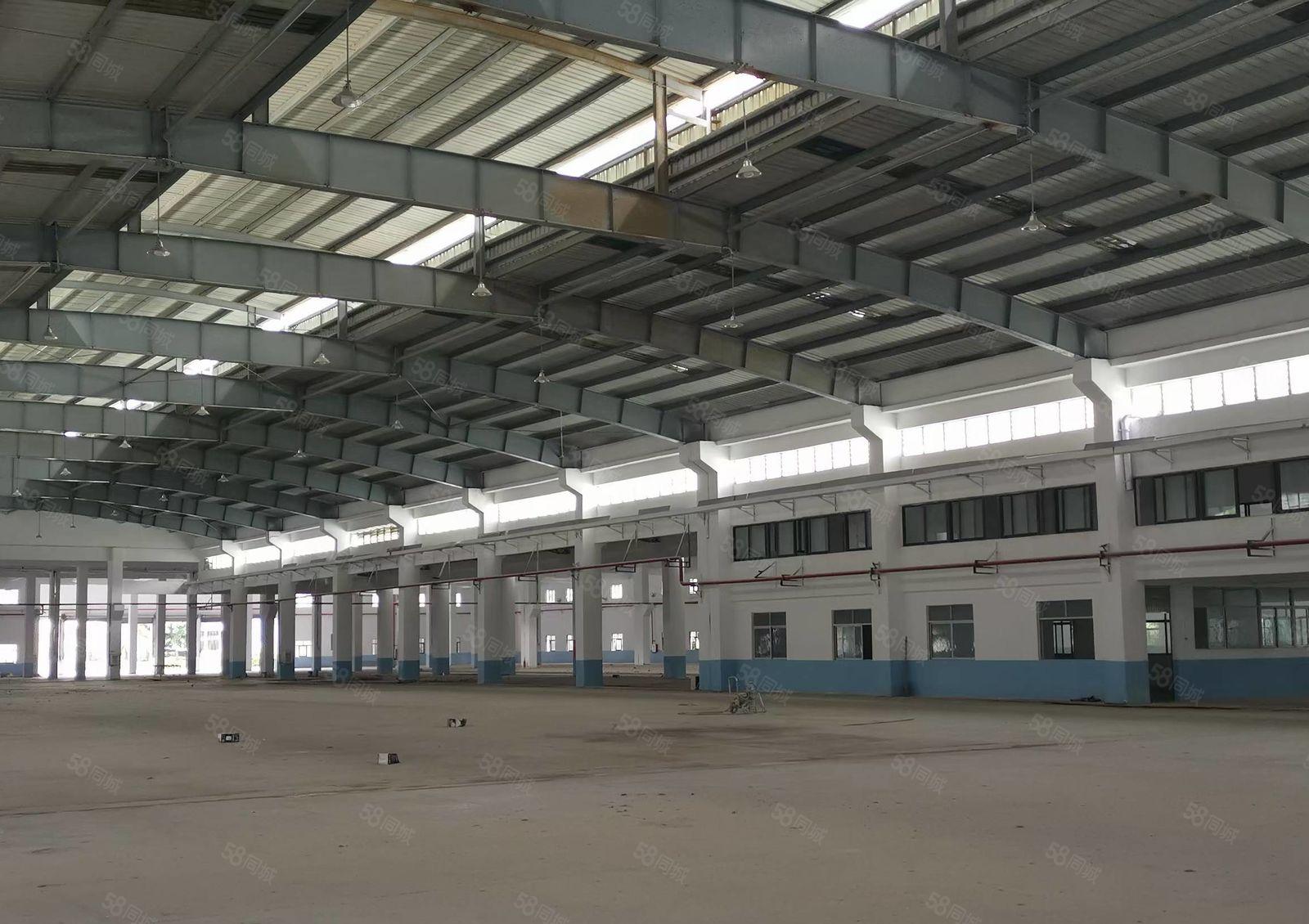 水口龙湖大道边钢构厂房1100平米出租 滴水8米高 证件齐全