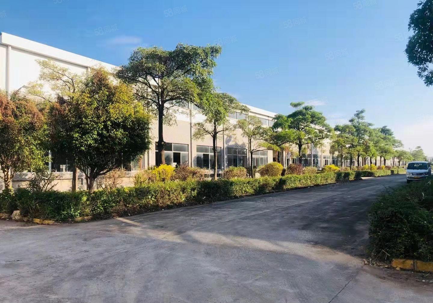 马安新乐 大量全新厂房出租 单层滴水13米 高钢构 价格面议