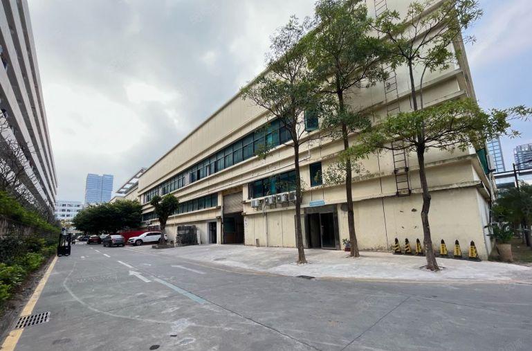 惠城河那岸原房独院6000千平原房东钢构厂房出租500起分租