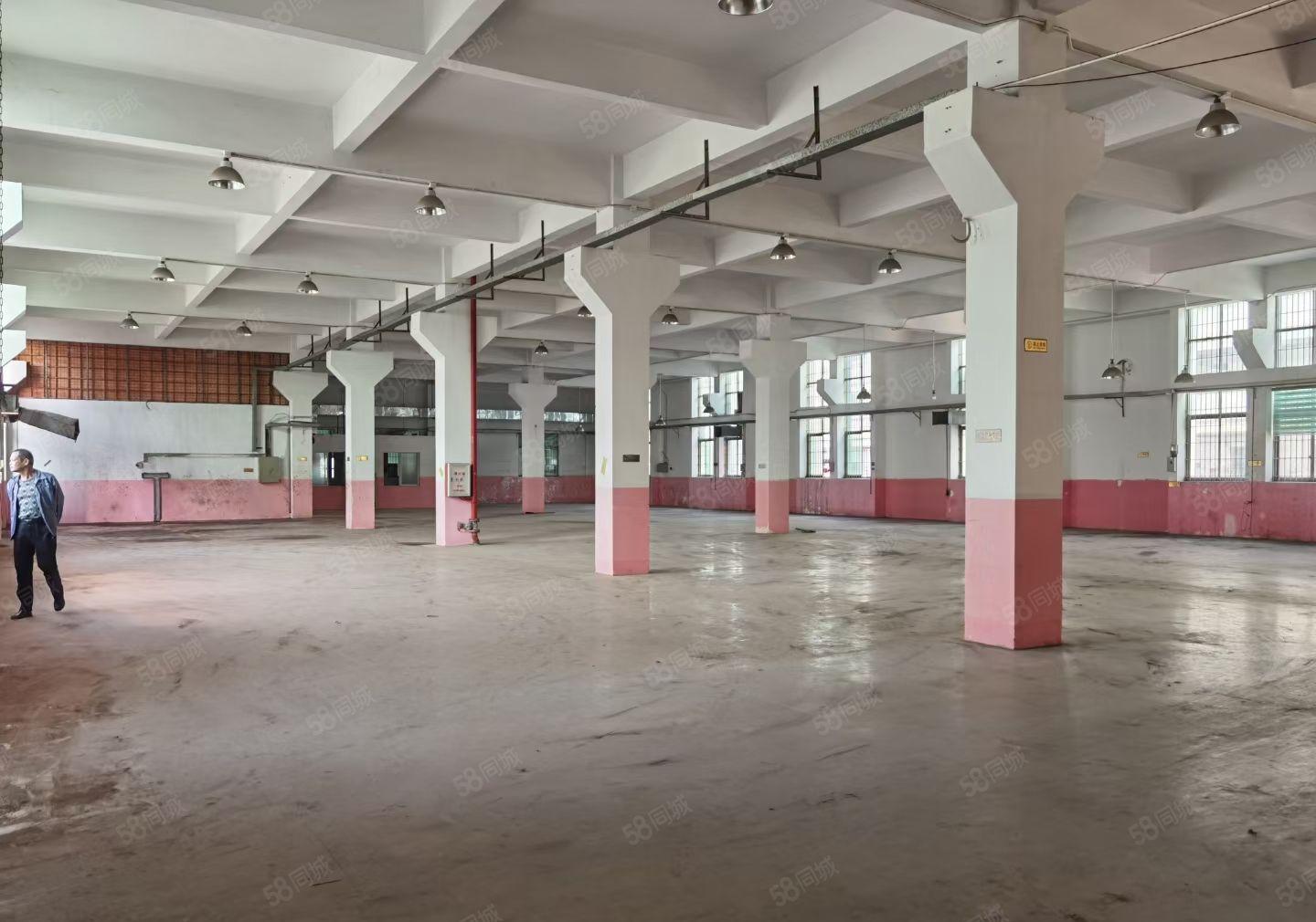 四角楼新出一楼约1500平方原房东红本厂房，高7米带牛腿