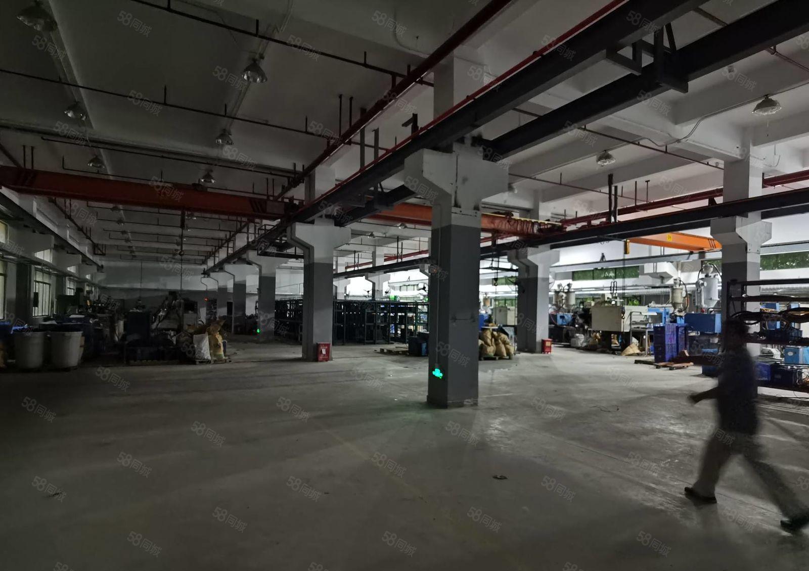 马安怡发工业园一二楼厂房2400平米  证件齐全  可以分租