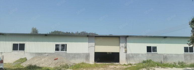 汝湖原房东钢构1200平方出租，租金仅10元面积无公摊