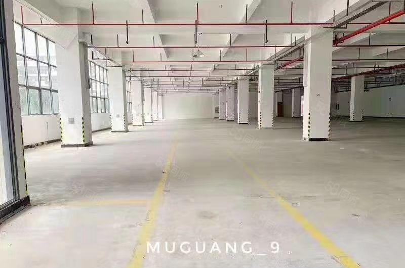 马安标准一楼2600平方，可以分租