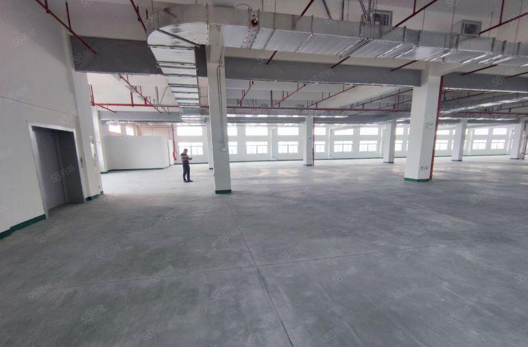 惠城区马安原房东独栋厂房出租1000平起分租一楼7米高